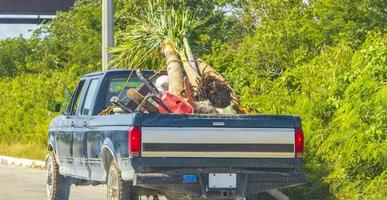 viejo y sucio camión de recogida americano con palmeras en la plataforma del camión foto