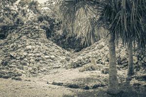 antiguo sitio maya con templo ruinas pirámides artefactos muyil mexico. foto