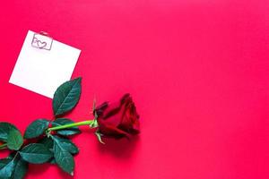 Red rose on red background with copyspace and sticker with a paper clip and heart, a reminder on a note sheet. A gift for a woman on a holiday, an invitation to a date, Valentine's Day, a sign of love photo