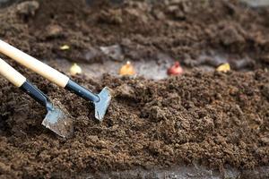 Rake and a shovel are inserted into the ground from the garden, the onion-sowing is planted. Springtime, working on a plot of land, landscaping, gardening, growing flowers, fruit crops. Copy space photo
