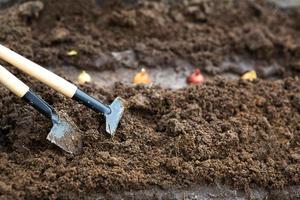 Rake and a shovel are inserted into the ground from the garden, the onion-sowing is planted. Springtime, working on a plot of land, landscaping, gardening, growing flowers, fruit crops. Copy space photo