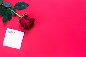 Red rose on red background with copyspace and sticker with a paper clip and heart, a reminder on a note sheet. A gift for a woman on a holiday, an invitation to a date, Valentine's Day, a sign of love photo