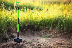 Shovel is inserted into the ground for planting in the spring. Springtime, garden plants, working on a plot of land, landscaping, gardening, growing flowers, fruit crops in the garden. Copy space photo