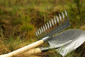 Rake and shovel is inserted into the ground for planting in the spring. Springtime, garden plants, working on a plot of land, landscaping, gardening, growing flowers, fruit crops. Copy space photo