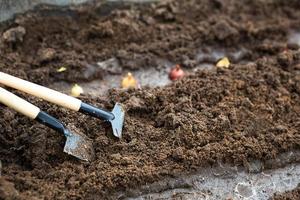 Rake and a shovel are inserted into the ground from the garden, the onion-sowing is planted. Springtime, working on a plot of land, landscaping, gardening, growing flowers, fruit crops. Copy space photo