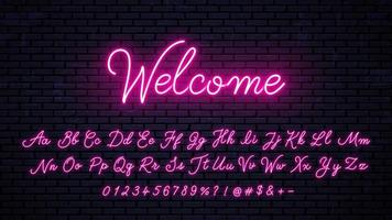 Neon handwritten English letters, numbers and symbols set. Vector red glowing alphabet with numbers and symbols.