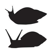 Snail silhouette art vector