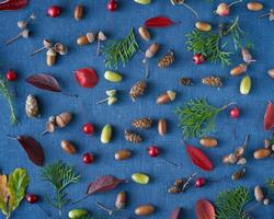 Autumn background of berries, small wild apples, acorns and leaves on bright blue background. photo