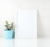 White frame, succulent on white table against the white wall. Mo photo