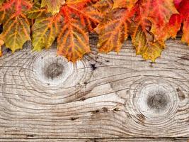 hojas de otoño sobre fondo de madera foto
