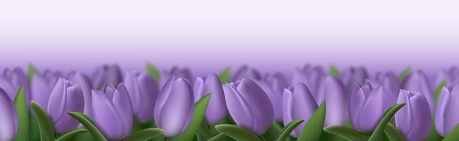 flores de tulipán 3d púrpura realistas sobre fondo transparente. ilustración vectorial vector