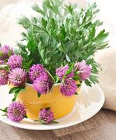 herbal herbs -sagebrush and clover photo