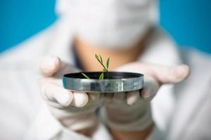 Investigación y desarrollo de laboratorio cosmético. producto de suero de crema para el cuidado de la piel de ciencia bio con hojas. concepto de cosmética de belleza orgánica natural. cosmetología. foto