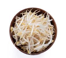 fresh bean sprouts in a cup on a white background photo