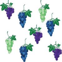 pattern of summer berries. grape vector