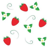 pattern of summer berries. strawberries vector