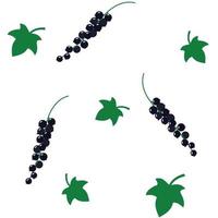 black currant pattern. Vector illustration