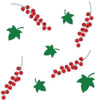 Red currant pattern. Vector illustration