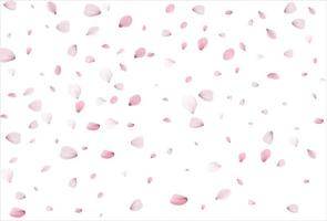 Sakura petals background. Cherry petals vector