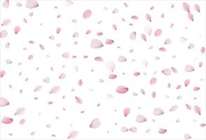 Sakura petals. Cherry petals backdrop vector