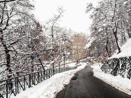 HDR Turin view under snow photo