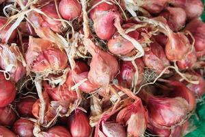 Red Onions close up photo