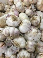 Fresh garlic background photo
