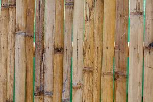 bamboo fence background photo