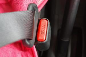 cinturones de seguridad en el coche para su seguridad foto