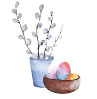 flowering willow tree branches, willows and easter eggs in a basket watercolor illustration vector