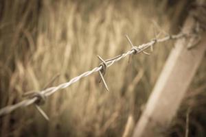 Barbed wire fence and green field closeup photo