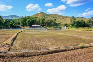 Agricultural Farm Field photo