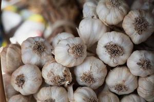 Fresh garlic close up photo