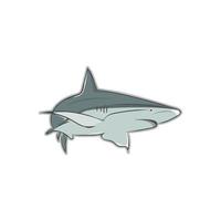 vector illustration of reef shark on a white background