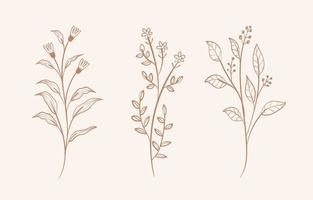 flower foliage elements vector