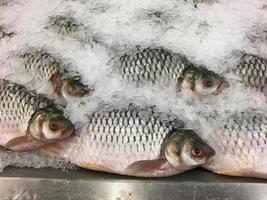 pescado fresco en hielo en el mercado foto
