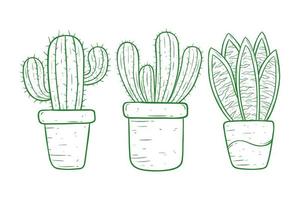 hand drawn cactus collection in a pot vector