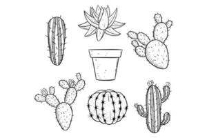 conjunto de vector de cactus de dibujo a mano sobre fondo blanco