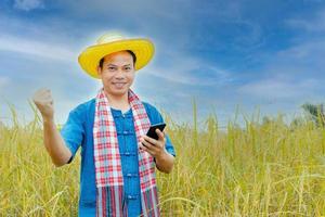 Asian peasants in robes and hats are in a field of golden rice fields. photo