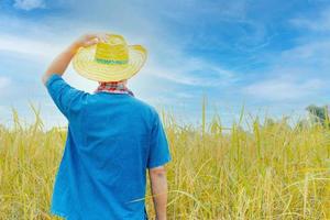 Asian peasants in robes and hats are in a field of golden rice fields. photo