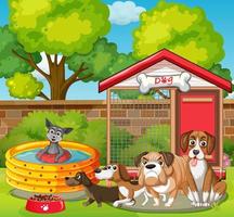 A group of different dog do various activities in the park vector