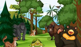 Forest scene with various wild animals vector