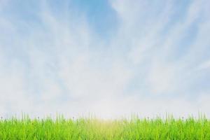 Grass field and sky with bright clouds for the background in the project. photo