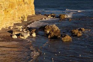 View from Hope Gap in West Sussex photo