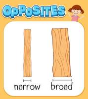 Opposite words for narrow and broad vector