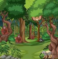 Forest scene with various wild animals vector