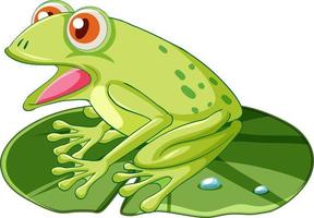 A green frog sitting on lotus leaf vector