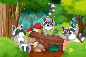 Forest scene wtih three raccoons on the log vector