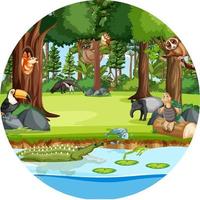 bosque en forma redonda con animales salvajes vector