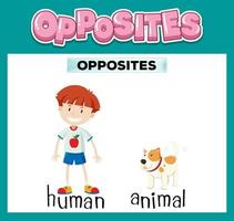 Opposite English words for kids vector